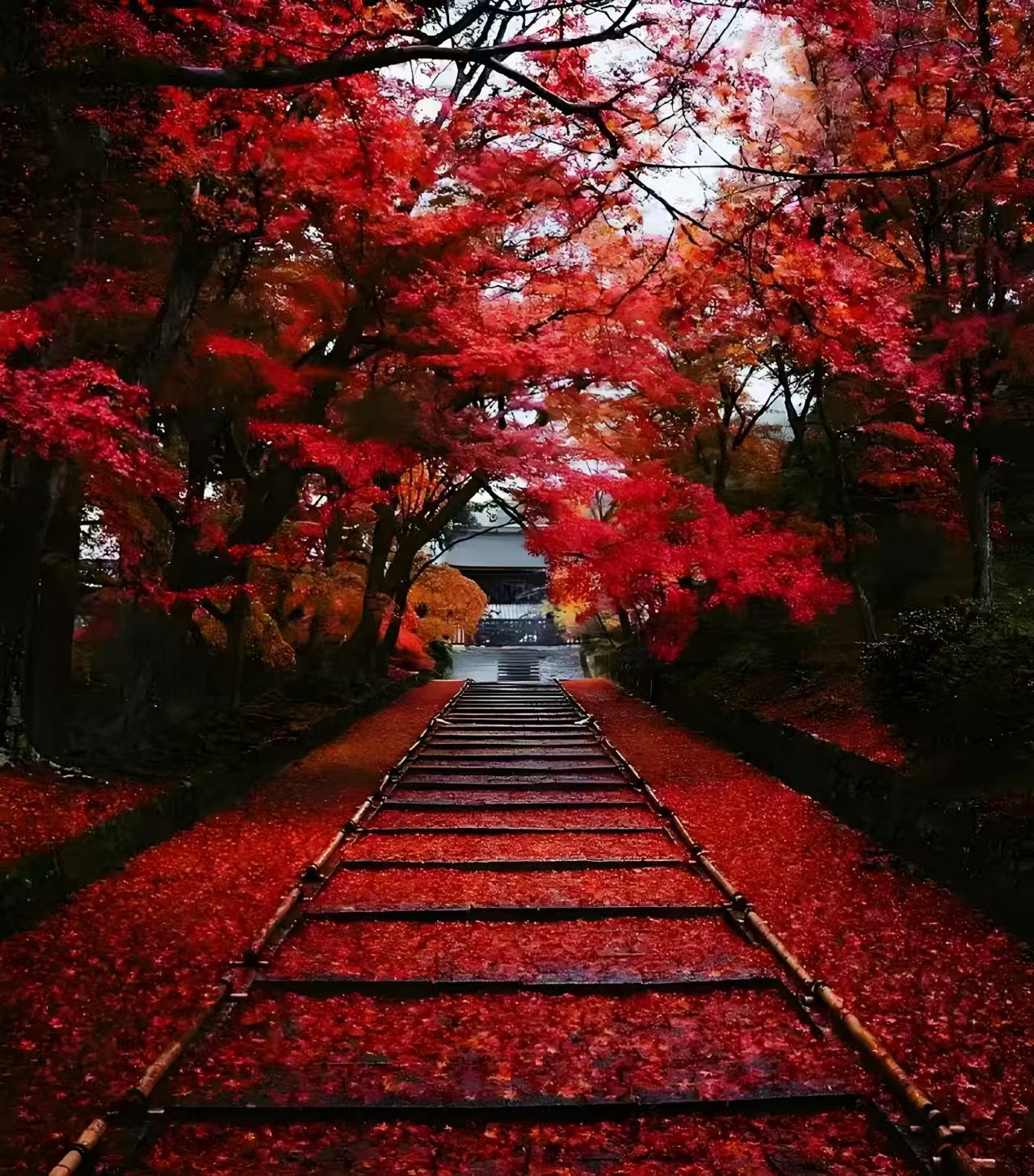 送迎サービス